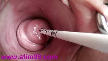 یار بالکل لڑکی کی چاٹ ہوئی بلی میں انڈین سیکسی ویڈیو پوپ کرتا ہے۔