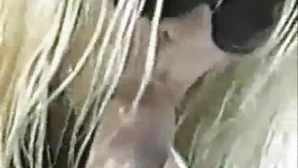 ڈاکٹر کے ساتھ اچھا چدائی کسی بھی مہنگی دوا سے ٹرپل سیکس ویڈیو بہتر ہے۔